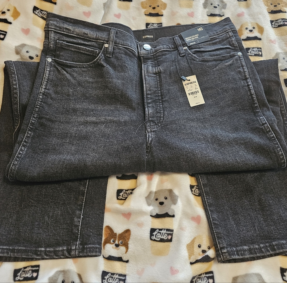 Express Charcoal Denim Jeans
